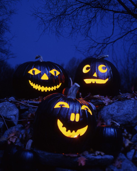 10 Scary Pumpkin Faces That Are Straight Out of Your Spookiest Nightmare